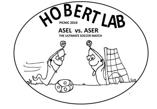 Hobert Lab Picnic 2010 T-shirt