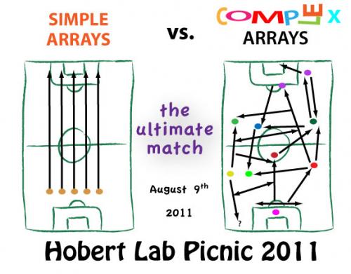 Hobert Lab Picnic 2011 T-shirt